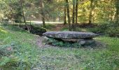 Randonnée Marche Saint-Brisson - Le Saut du Gouloux - Morvan - Photo 6