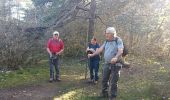 Trail Walking Peyreleau - belle rando dans les Cevennes  - Photo 4