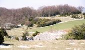 Randonnée Marche Peyrus - Le Pas du Touet - Le Pas Saint-Vincent - Photo 13