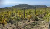 Tour Wandern Roses - Plat des gâtte depuis le dolmen (aller simple) - Photo 6