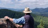 Trail Horseback riding Still - 2022-07-10 Picnic CVA Umwurf depuis Oberhaslach - Photo 1