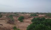 Tour Wandern M'Hamid El Ghizlane ⵎⵃⴰⵎⵉⴷ ⵍⵖⵯⵣⵍⴰⵏ امحاميد الغزلان - Parcours du matin Campement 4 - Photo 4