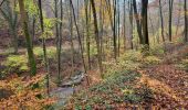 Trail Walking Namur - Wepion 211123 - Photo 19