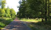 Tour Wandern Dampleux - en forêt de Retz_80_sur la Route Tortue et la Route Droite - Photo 6