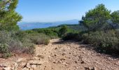 Trail Walking La Ciotat - st fretouse le semaphore belvédère la  route des crêtes  - Photo 4