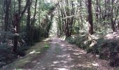 Excursión Bici eléctrica Pluvigner - Boucle dans la forêt de Florange à partir de Bieuzy Lanvaux - Photo 5