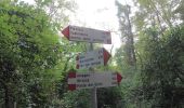 Tour Zu Fuß Roncola - Sentiero dei Borghi - Photo 6