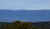 Tocht Te voet Puyloubier - Garagaï de Cagoloup- Ste Victoire-11-12-24 - Photo 3