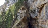 Excursión Senderismo Saint-Pierre-d'Entremont - Cirque de St Même - Photo 11