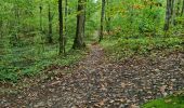 Trail Walking Vendôme - Petit parcours dans la partie Sud-est du Bois de l'Oratoire - Photo 6