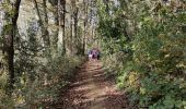 Trail Walking Livron - LIVRON RS Artigamen et le bois de chataigners 