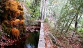 Percorso A piedi la Morera de Montsant - Itinerari al voltant de la Cartoixa - Photo 8