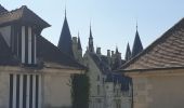 Tour Wandern Pouilly-sur-Loire - Pouilly sur loire 58:rando dans les Vignes  - Photo 3