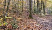 Randonnée Marche Vendôme - Forêt de Vendôme - Bois de l'Oratoire - Photo 15
