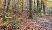 Trail Walking Vendôme - Forêt de Vendôme - Bois de l'Oratoire - Photo 15