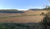 Percorso Marcia Villasavary - Besplas  - Photo 3