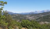 Randonnée Marche Digne-les-Bains - ENTRAGES Tour et crête du Feston o s l - Photo 2