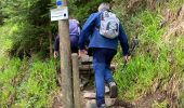 Tocht  Gérardmer - Bourrique, tour et cascade de Merelle - Photo 8