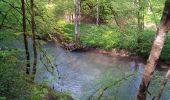 Randonnée Marche Baume-les-Dames - PONT LES MOULINS - Photo 5