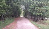 Tocht Stappen Le Valtin - VOSGES 2023 - Sentier des Roches - Photo 1