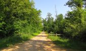 Trail On foot Tracy-le-Mont - le GR655 dans les Forêts de Laigue et de Compiègne - Photo 6