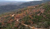 Tour Wandern Bagnols-en-Forêt - REV_ Colle Rousse - Photo 2