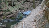 Trail Walking Aywaille - 220307 Ninglinspo - Photo 9