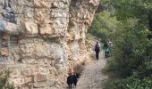 Excursión Senderismo Rimon-et-Savel - balcons de la Roanne - Photo 2