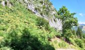 Trail Walking Vacheresse - Tour du Mont Chauffé  - Photo 2