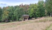 Randonnée Marche Theys - PROMENADE AUTOUR DU COL DES AYES - Photo 17