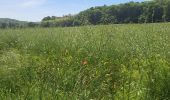 Trail Walking La Ferté-Alais - T-Misery - Photo 6