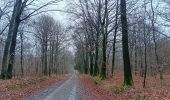 Tour Wandern Esneux - beauregard . famelette . roche aux faucons . plainevaux . beau beauregard - Photo 14