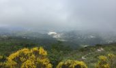 Trail Walking Peille - Mont Agel - Photo 9