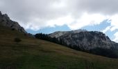 Excursión Senderismo Saint-Pierre-de-Chartreuse - Correrie_Col de la Ruchère_Petit Som_Col de l'Echaud_Pas du Loup - Photo 11