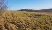 Tour Zu Fuß Unknown - Grænsesti Rundtur Stensbæk Plantage - Photo 2