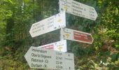 Excursión A pie Durbach - Durbachtalweg - Photo 7