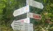 Trail On foot Durbach - Durbachtalweg - Photo 7