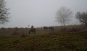 Percorso A piedi Longi - LONGI ALCARA LI FUSI CAI SICILIA - Photo 1