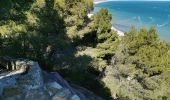 Excursión Senderismo Leucate - Leucate château falaise  - Photo 2