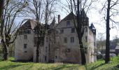 Randonnée Marche Marlenheim - Circuit de Bacchus - Le Riewerle - Photo 2