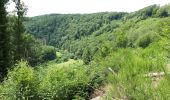 Trail Walking Bouillon - Rochehaut - Les Échelles  - Photo 10