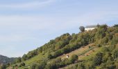 Tour Zu Fuß Großheubach - Großheubach Weinlehrpfad - Photo 10