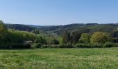 Trail Walking Vielsalm - Ennal 110522 - Photo 19