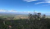 Trail Walking Laroque-des-Albères - La Roque des Alberes, randonnée et botanique - Photo 7