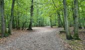 Randonnée Marche Meudon - la Forêt Domaniale de Meudon (2) - Photo 9