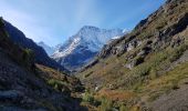 Trail Walking Saint-Christophe-en-Oisans - Le Refuge de La Lavey - Photo 9