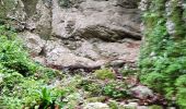 Trail Walking Cognin-les-Gorges - cognin les gorges  - Photo 12