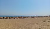 Trail Walking Saint-Cyprien - st cyprien les monges. St cyprien plage . St cyprien port . capellans . retour les monges  - Photo 12