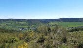 Randonnée Marche Stoumont - moulin du ruy . ruy . andrimont . cour . borgoumont . moulin du ruy - Photo 9