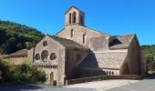 Tour Wandern Sylvanès - Sylva.es a modifier  - Photo 9